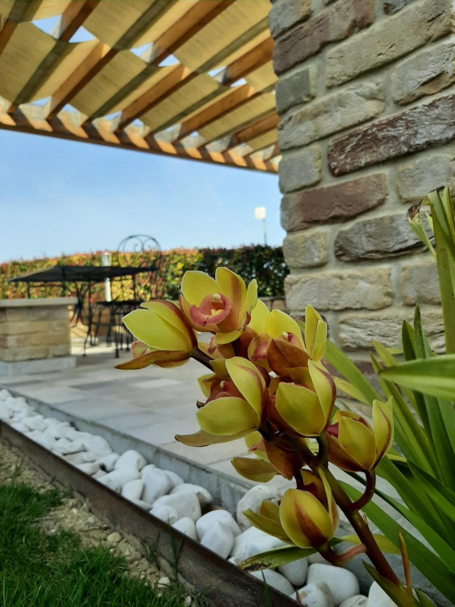 B&B Casalfarano Cupra Marittima Extérieur photo