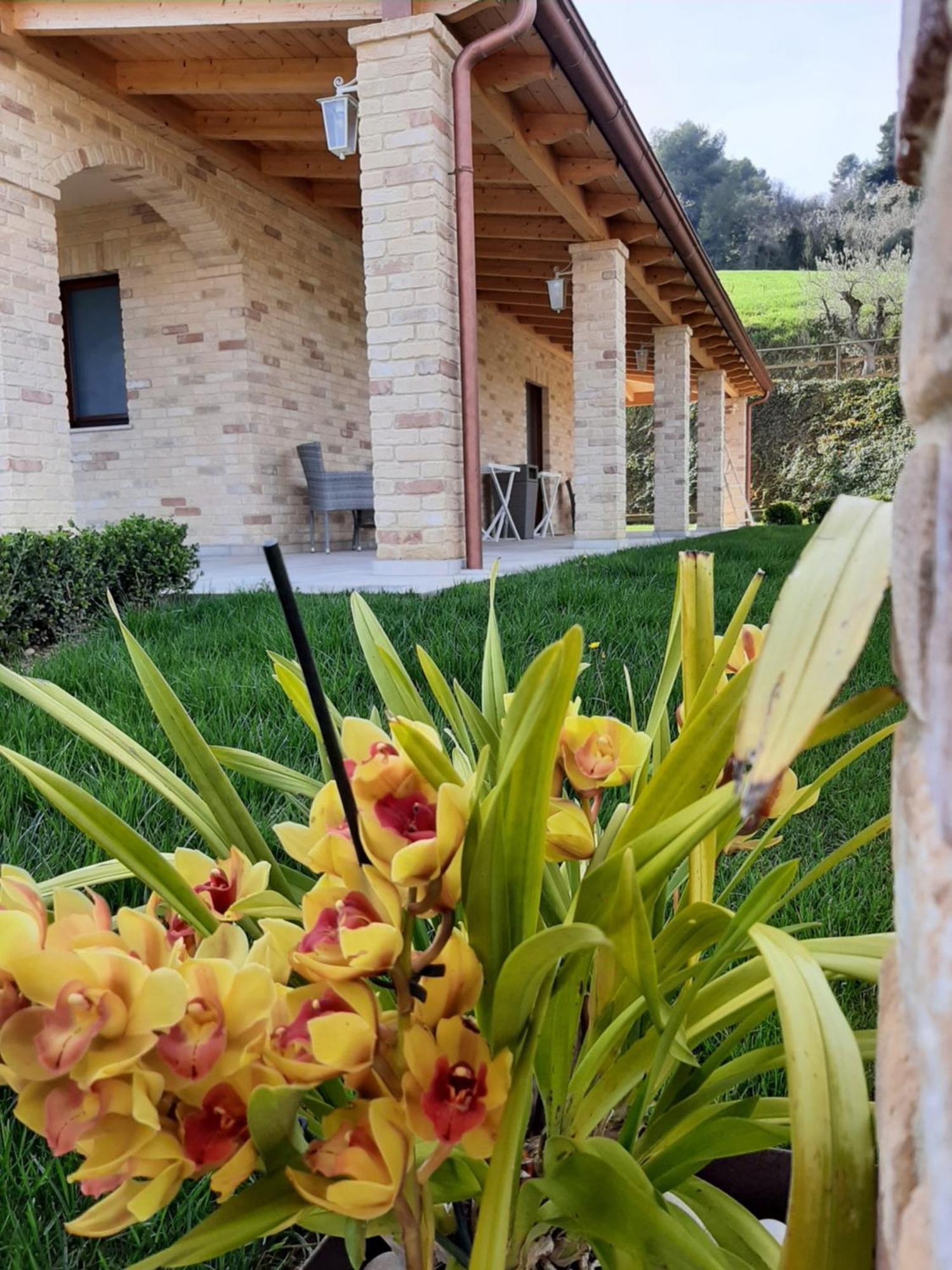 B&B Casalfarano Cupra Marittima Extérieur photo